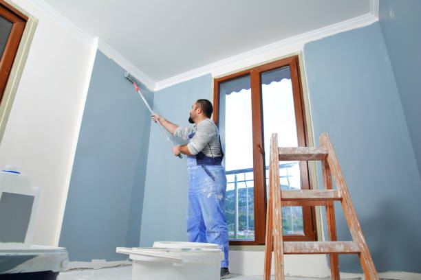 Best Dehumidification Services  in South Burlington, VT