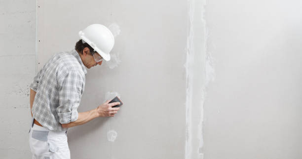 Best Biohazard Mold Removal  in South Burlington, VT