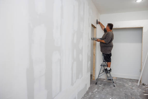 Forensic Mold Investigation in South Burlington, VT