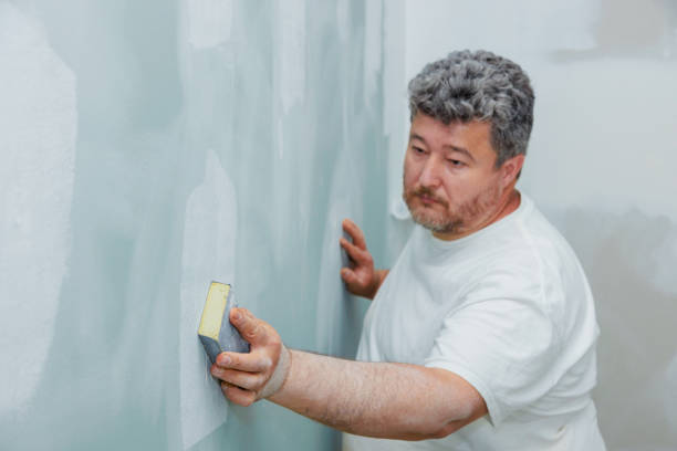 Best Mold Odor Removal Services  in South Burlington, VT
