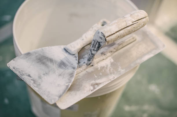 Best Basement Mold Removal  in South Burlington, VT